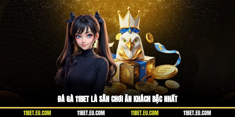 Đá gà 11BET là sân chơi ăn khách bậc nhất