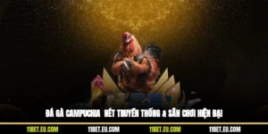 Đá Gà Campuchia - Nét Truyền Thống & Sân Chơi Hiện Đại