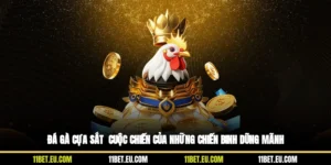 Đá Gà Cựa Sắt - Cuộc Chiến Của Những Chiến Binh Dũng Mãnh