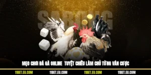 Mẹo Chơi Đá Gà Online - Tuyệt Chiêu Làm Chủ Từng Ván Cược